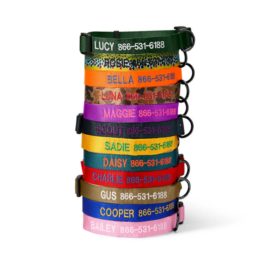 Orvis Best Seller - Personalized Side-Release Buckle Collar