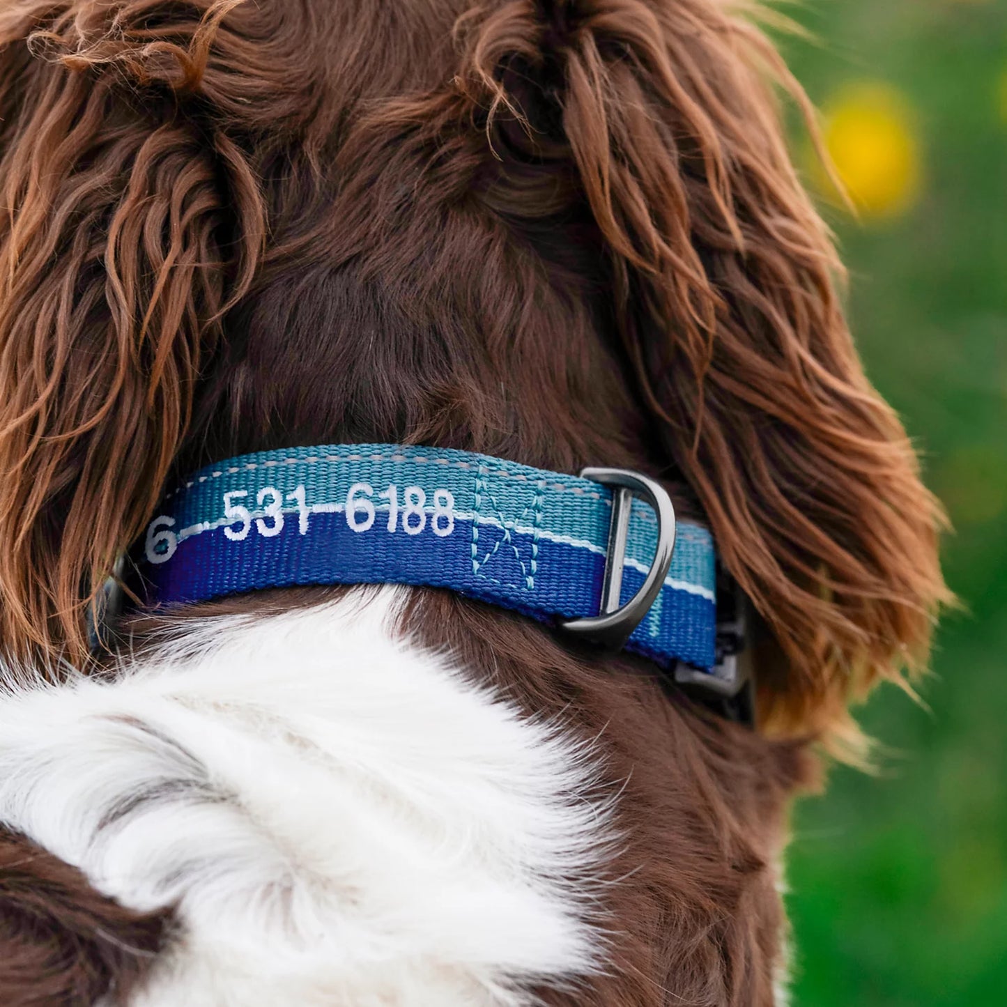Orvis Limited Edition -Tough Trail® Collar 2.0