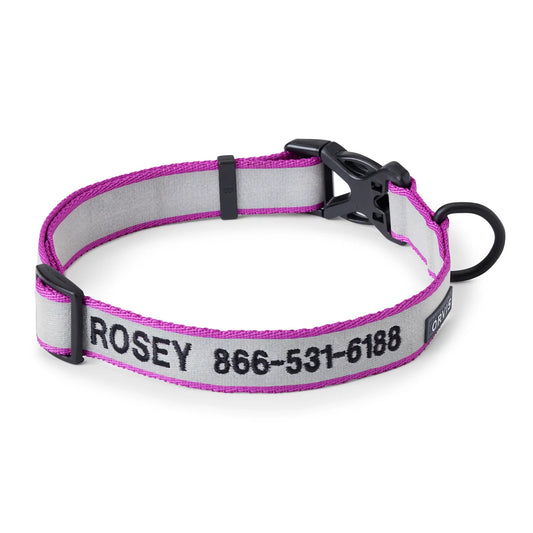 Orvis Affordable - Orvis Personalized Reflective Dog Collar