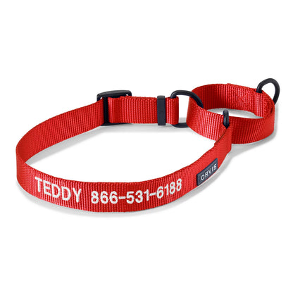 Orvis Special Offer - Orvis Martingale Collar & Leash Bundle