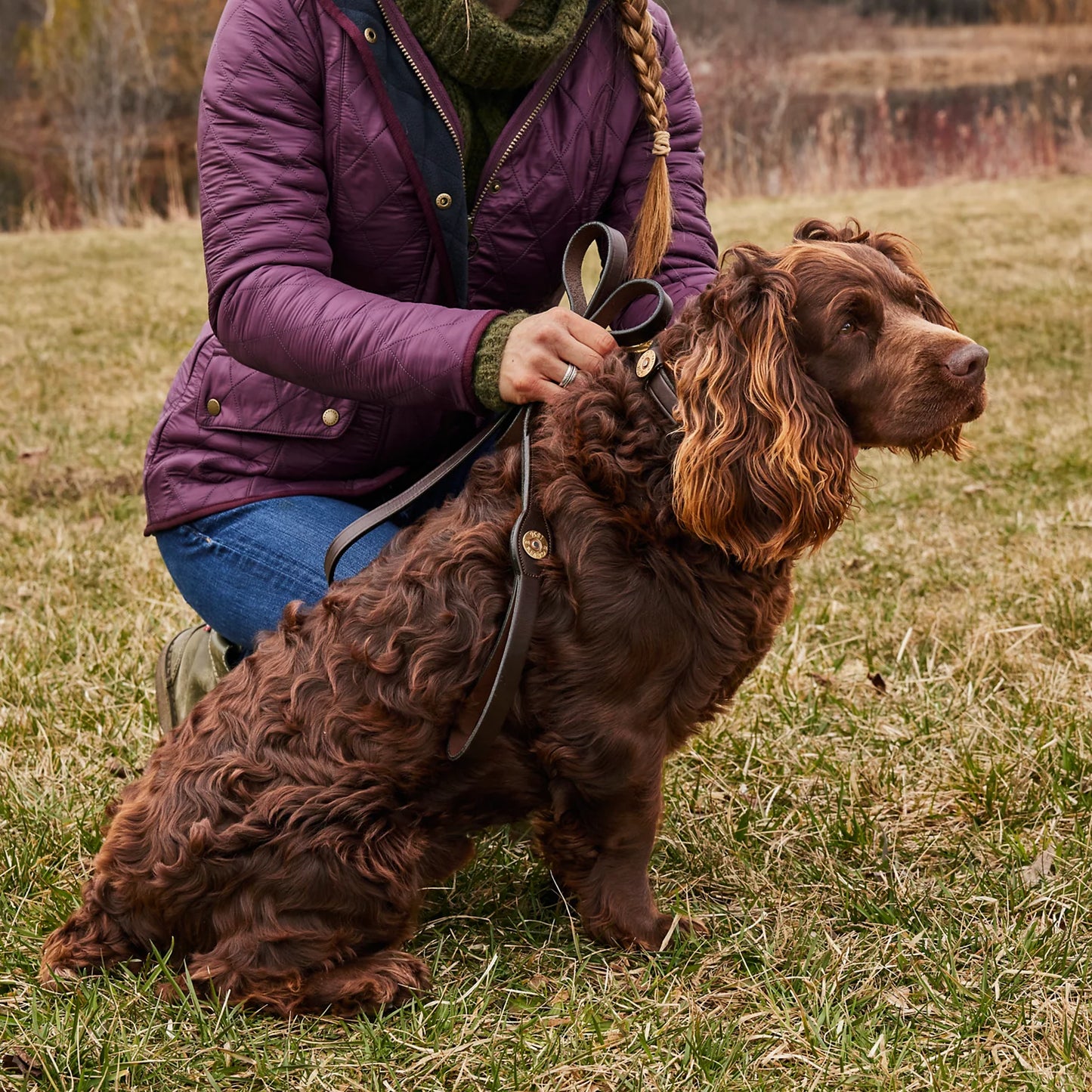 Orvis Limited Edition -Shotshell Dog Collar