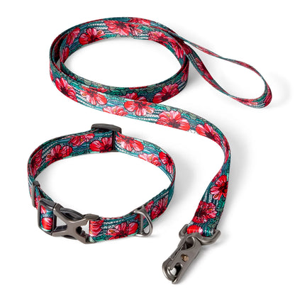 Orvis Great Deal - Orvis x Fishe® Wear Collar