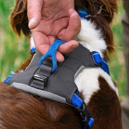 Orvis Popular Choice - Tough Trail® Four-Point Dog Harness
