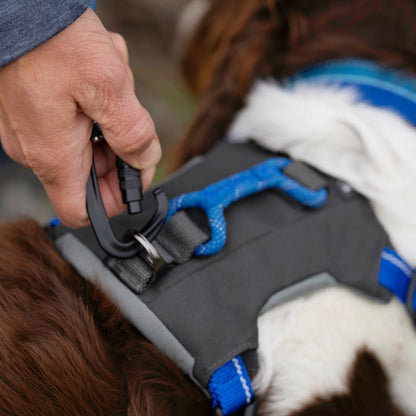 Orvis Popular Choice - Tough Trail® Four-Point Dog Harness