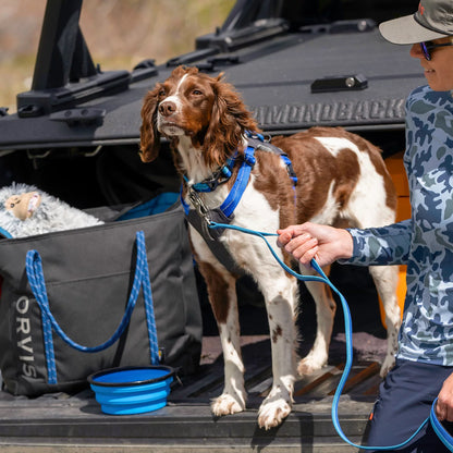 Orvis Popular Choice - Tough Trail® Four-Point Dog Harness