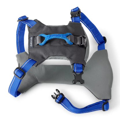 BLUE,S