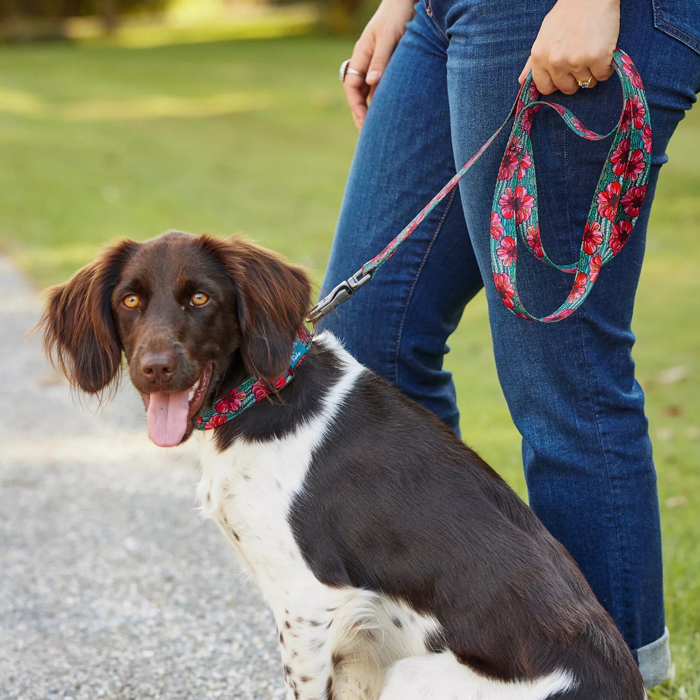 Orvis Special Offer - Orvis x Fishe® Wear Dog Leash
