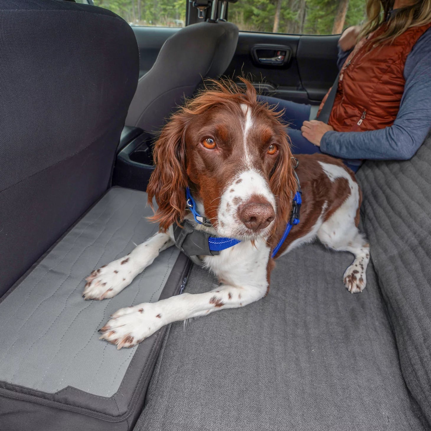 Orvis Affordable - Tough Trail® Dog Seat Extender Storage Box