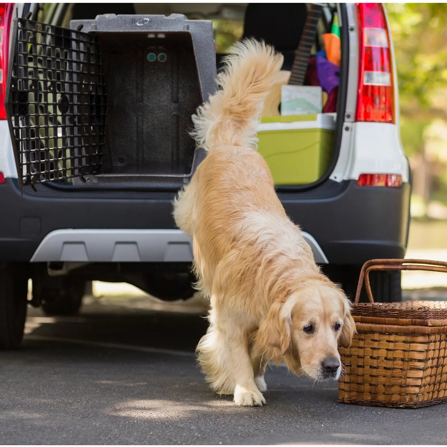 Orvis Customer Favorite -Ruff Land™ Performance Dog Kennel