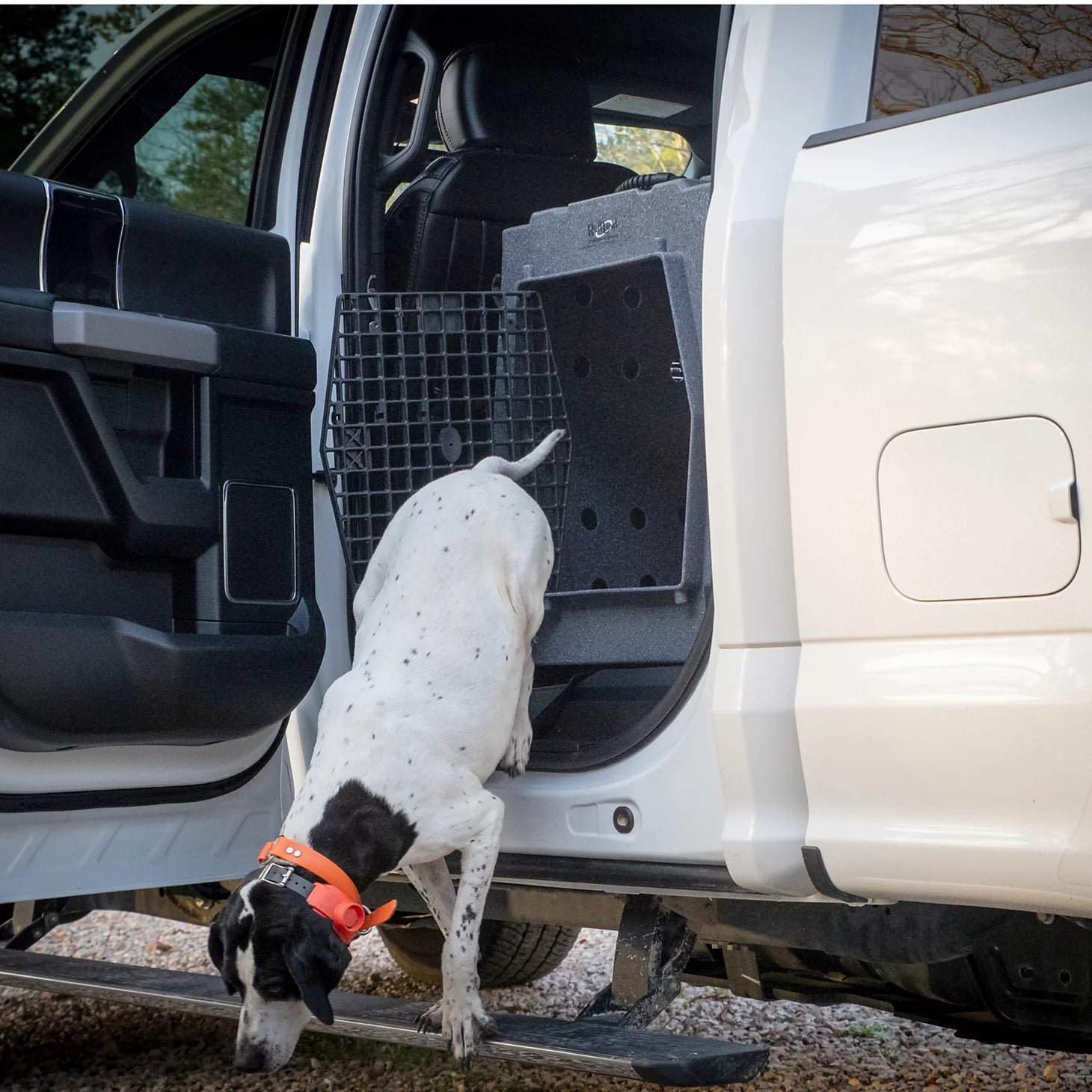 Orvis Customer Favorite -Ruff Land™ Performance Dog Kennel