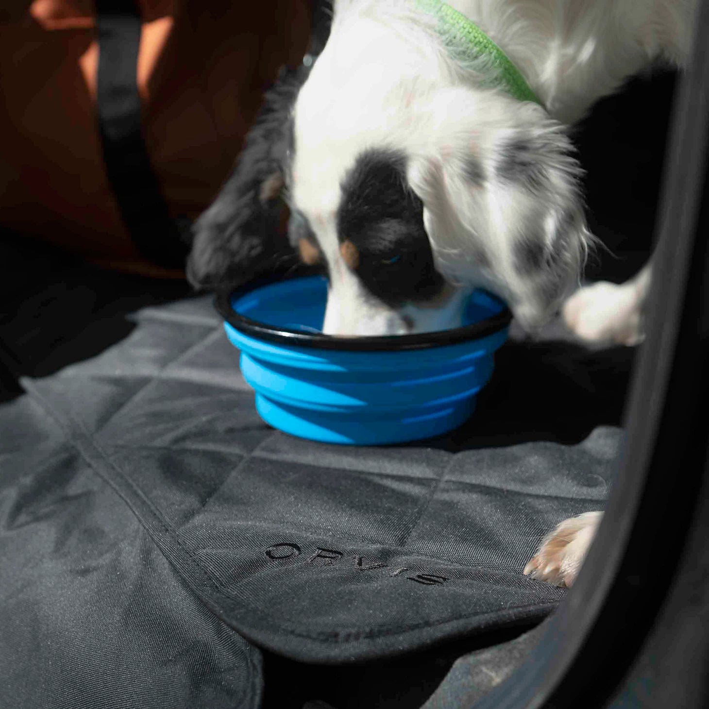 Orvis Limited Edition -Tough Trail® Collapsible Dog Bowl