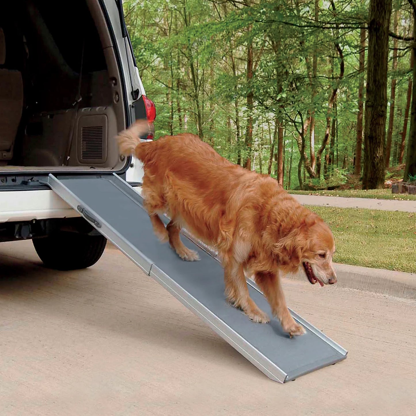 Orvis Affordable - Super-Lightweight Pet Ramps