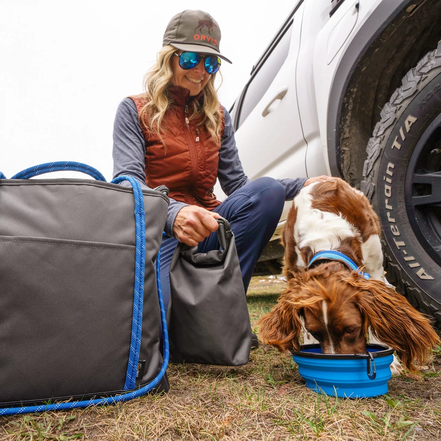 Orvis Budget Friendly - Tough Trail® Dog Travel Tote