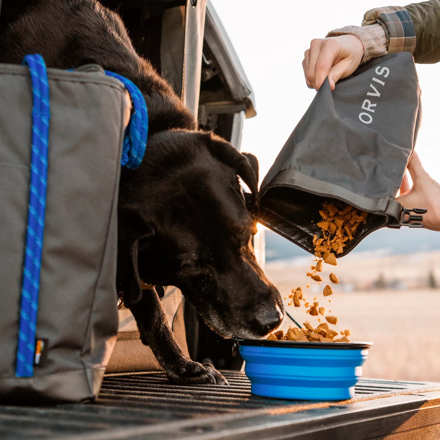 Orvis Special Offer - Tough Trail® Dog Travel Tote Kit