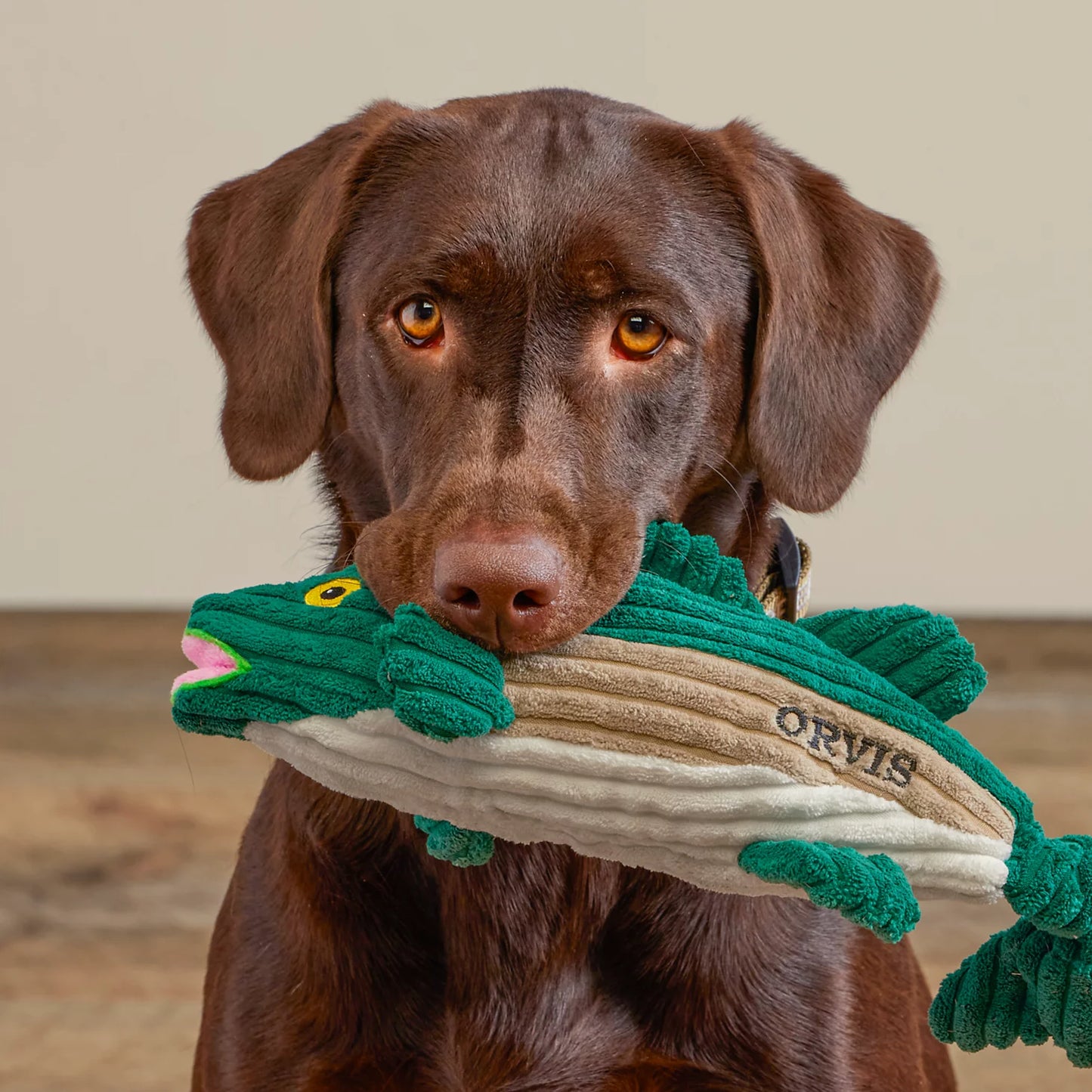 Orvis Affordable - Animal Squeaky Toys