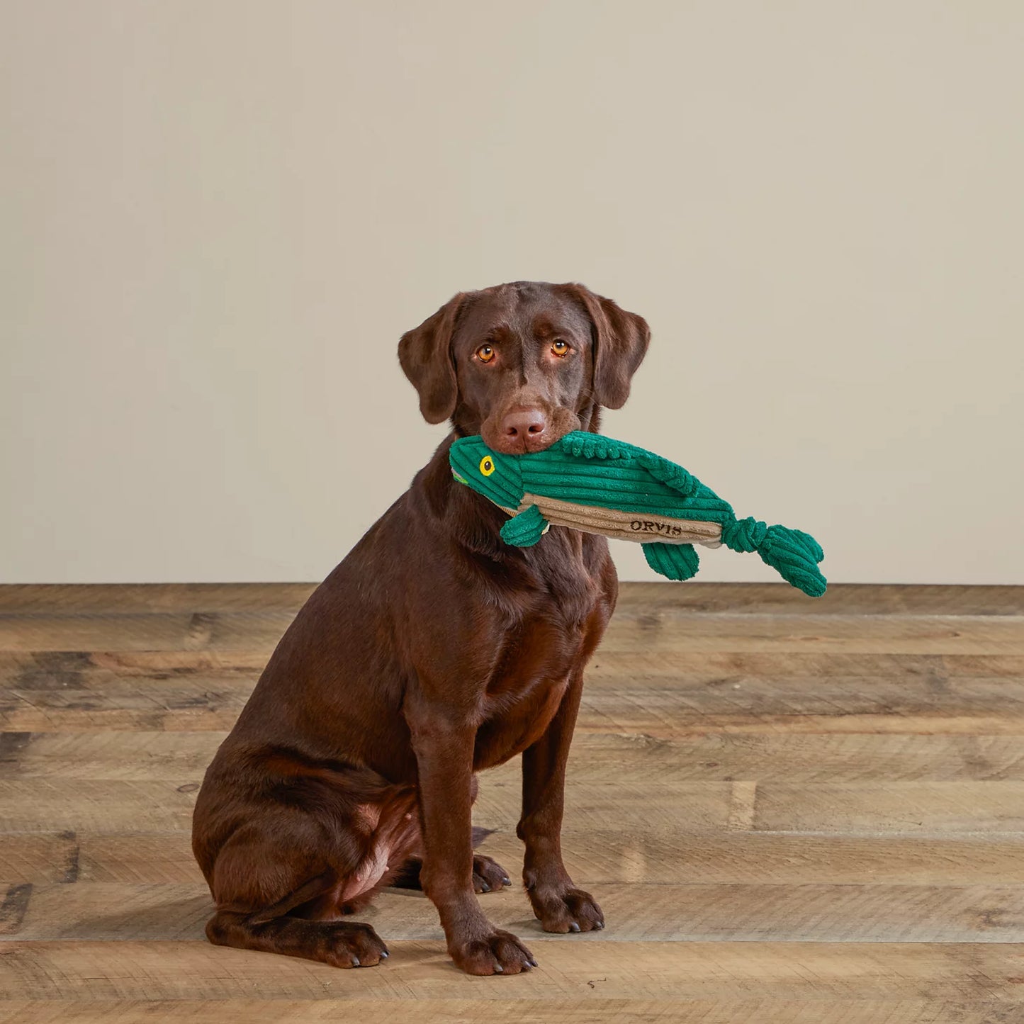 Orvis Affordable - Animal Squeaky Toys