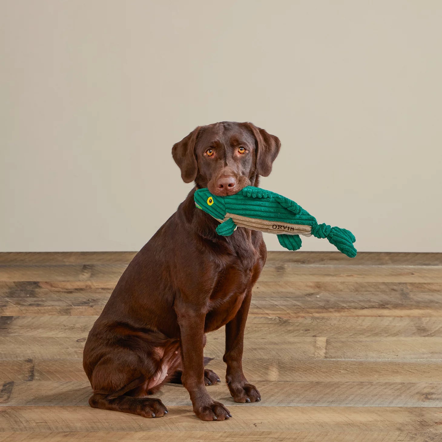 Orvis Affordable - Animal Squeaky Toys