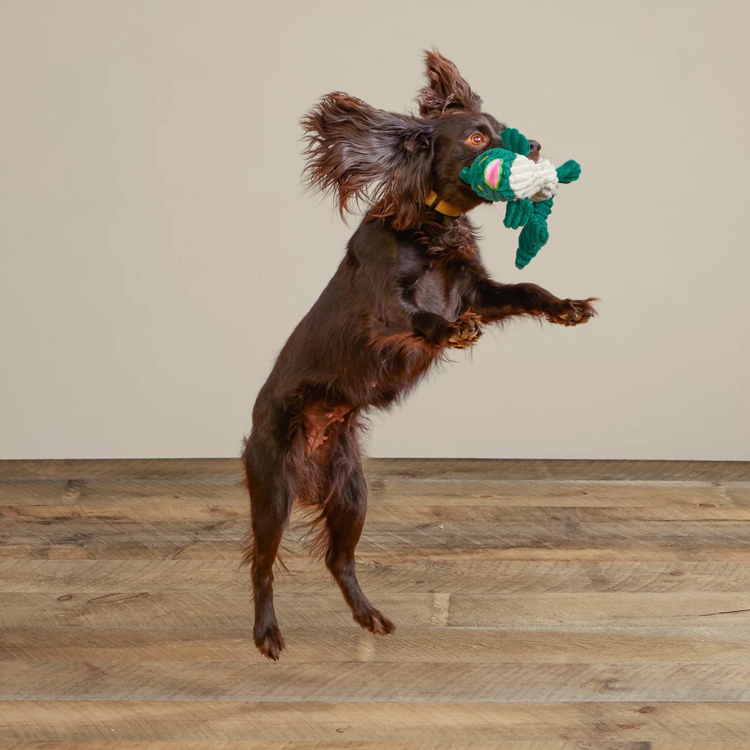 Orvis Affordable - Animal Squeaky Toys