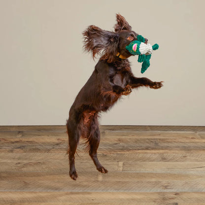 Orvis Affordable - Animal Squeaky Toys