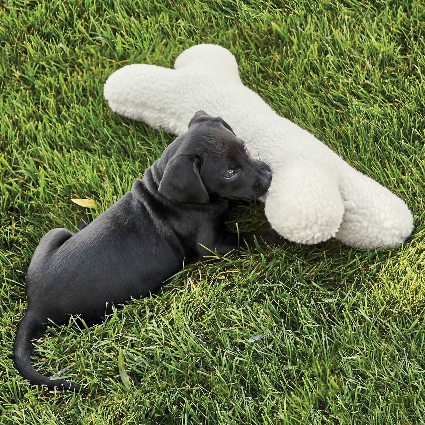 Orvis Budget Friendly - Fleece Dog Bone