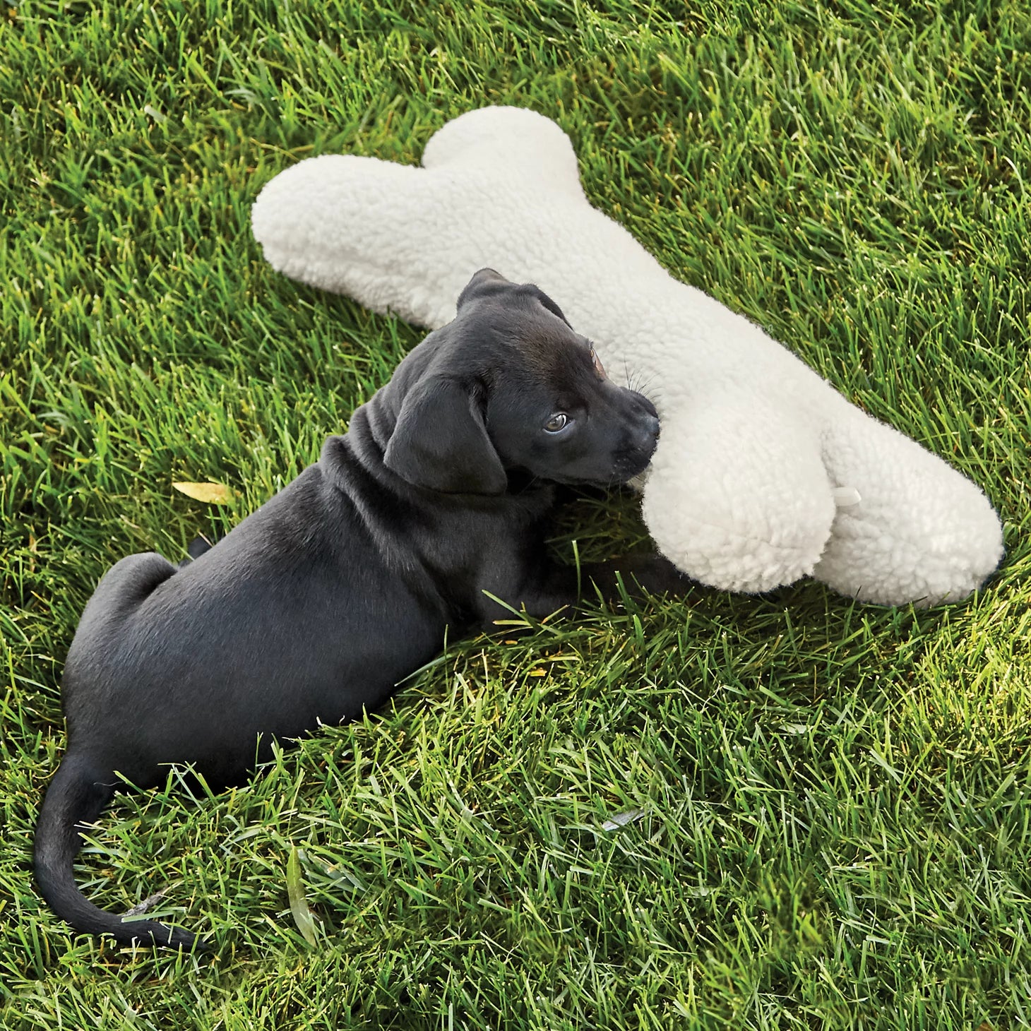 Orvis Budget Friendly - Fleece Dog Bone