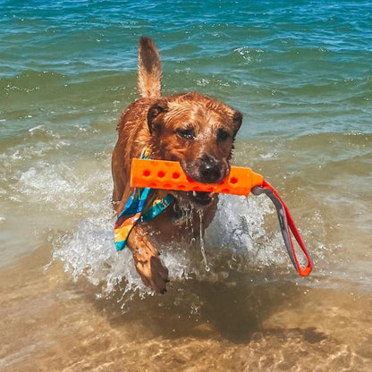 Orvis Limited Edition -Hydro Floating Dog-Training Bumper