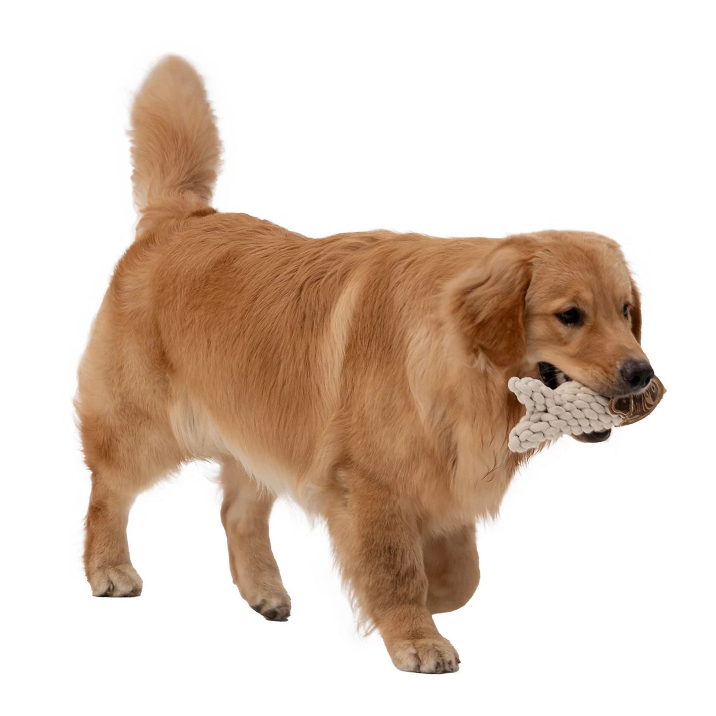 Orvis Popular Choice - Rope Crunch Fish Dog Toy