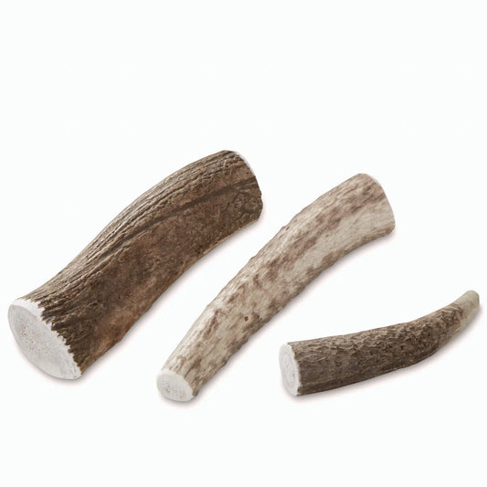 Orvis Special Offer - Elk Antler Chews