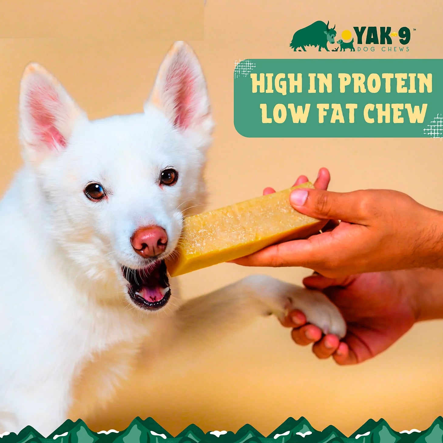 Orvis Featured - Yak-9 Dog Chew - Single