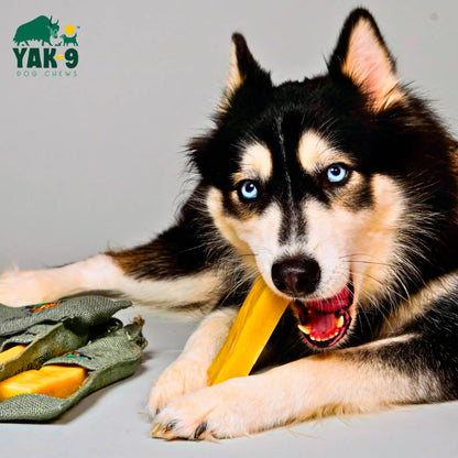 Orvis Featured - Yak-9 Dog Chew - Single