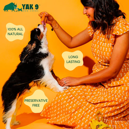 Orvis Featured - Yak-9 Dog Chew - Single