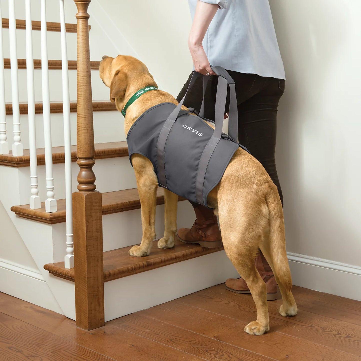 Orvis Great Deal - Dog Lift