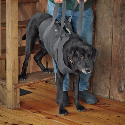 Orvis Great Deal - Dog Lift