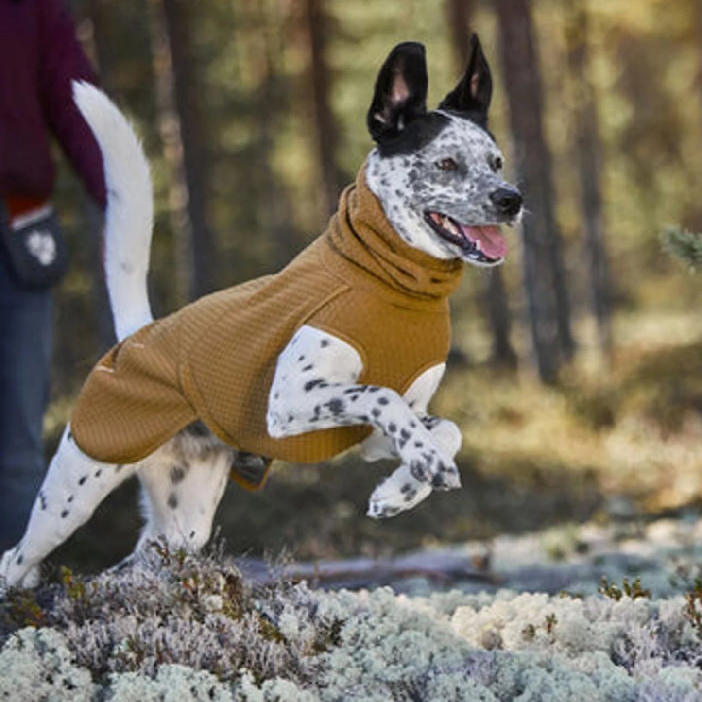 Orvis Customer Favorite -Hurtta Warming Midlayer Eco Dog Jacket