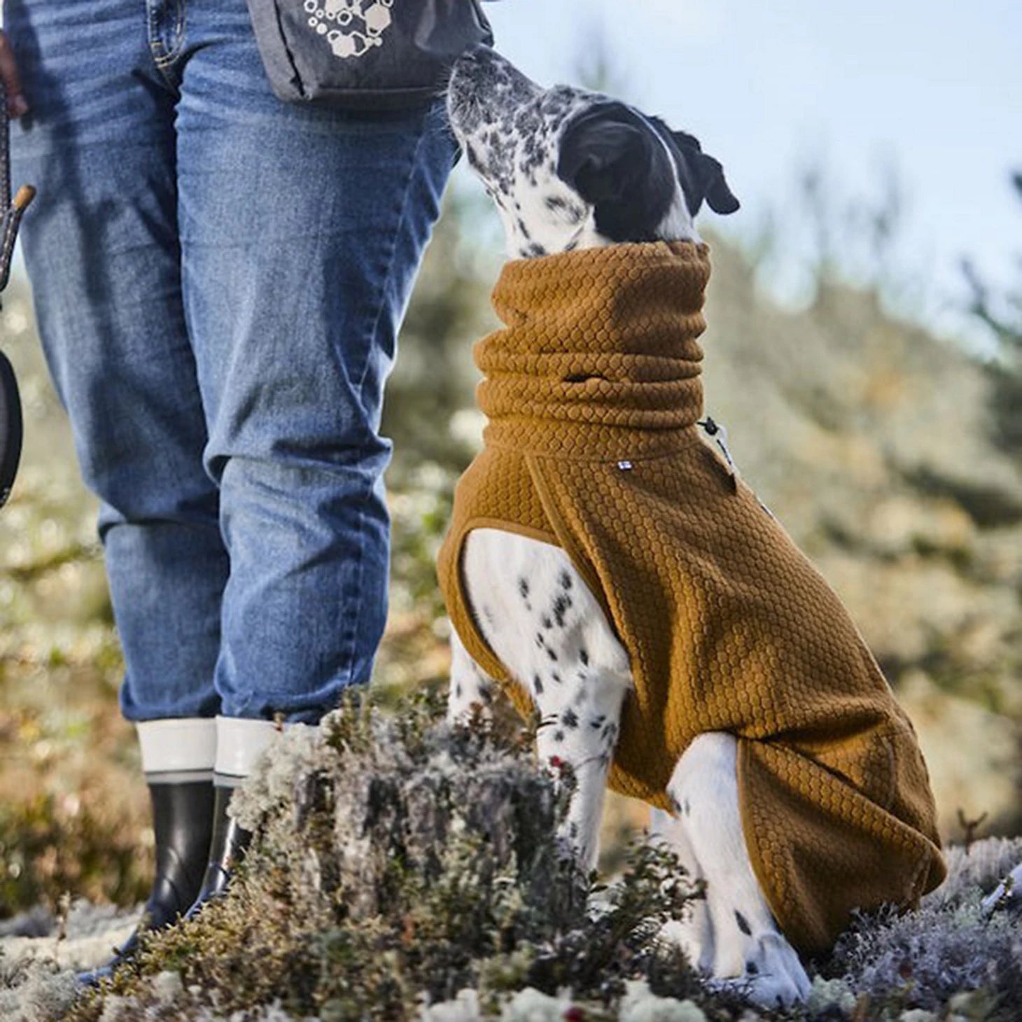 Orvis Customer Favorite -Hurtta Warming Midlayer Eco Dog Jacket